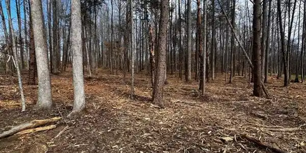 Lot 74 COMPASS COVE