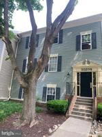 20209 SHIPLEY TERRACE