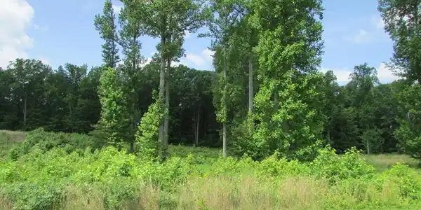 0 RAINBOW RIDGE