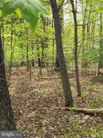 Lot 16 CAMPBELL LANE