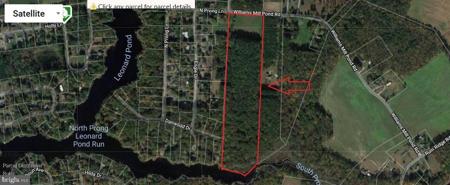 0 WILLIAMS MILL POND ROAD