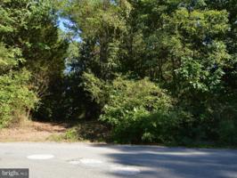 KENTUCKY SPRINGS ROAD