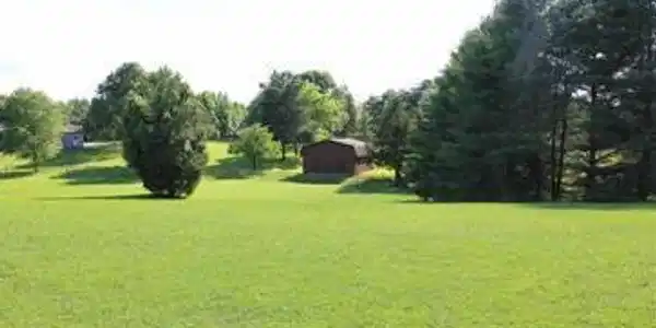 MULBERRY MEADOWS