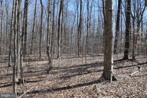 Lot 78B EVERETT LANE