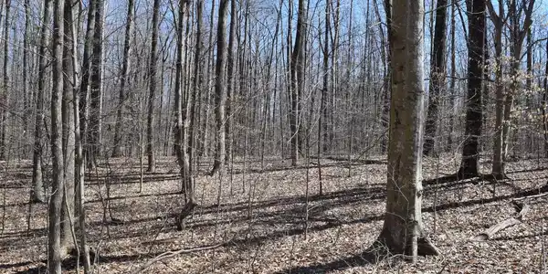 Lot 78B EVERETT LANE