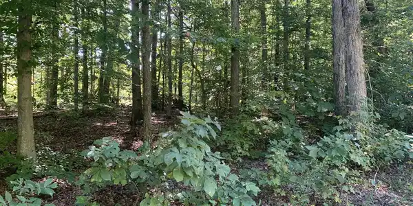 Lot 122 RAVEN RD