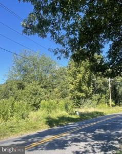 GOLD DALE ROAD