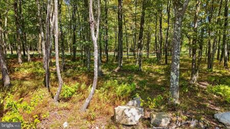 Lot 20 GREEN JACKET CT