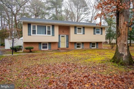 8331 AVALON BOULEVARD