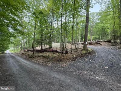 Lots 54 & 53 SLOAN TRACT ROAD
