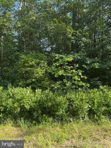 Lot 22 LAKE DRIVE