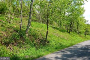 19LOT LAUREL COURT