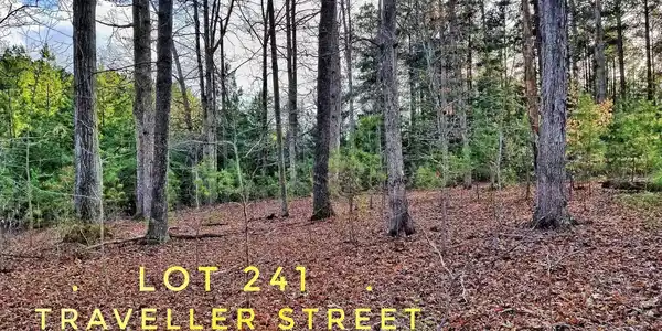 lot 241 TRAVELLER STREET