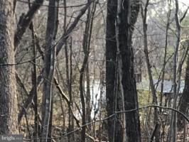 11410 ROCKLAND LANDING ROAD