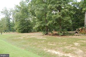 NOAH'S LANDING DRIVE