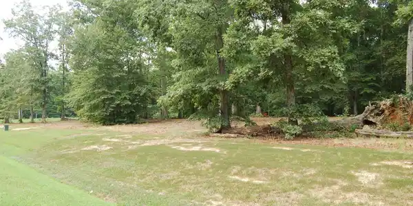NOAH'S LANDING DRIVE