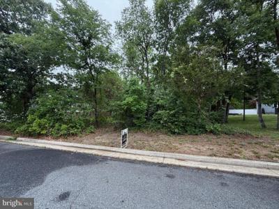 CHARLOTTE AVENUE