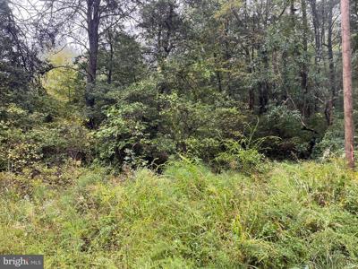 Lot 20 CHRYSTAL RD.