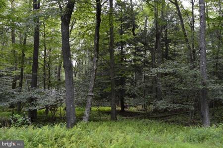 Lot 256 AZALEA LN