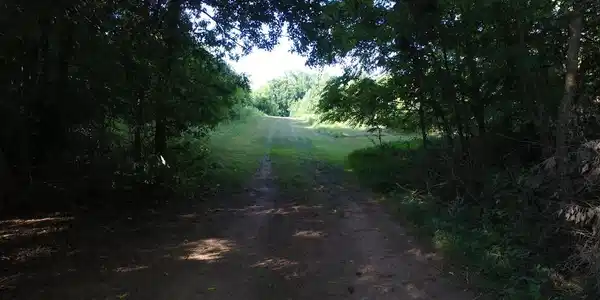 Lot 433 DECATUR LANE
