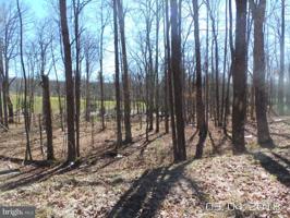 LOT 9 POLAND RUN HEIGHTS