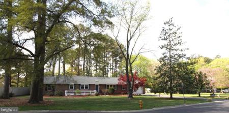 1036 SCHUMAKER DRIVE