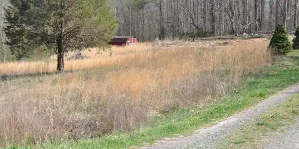 PEACH GROVE ROAD