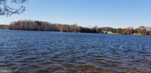WOLFTRAP CT
