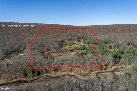 751 BRANT ROAD