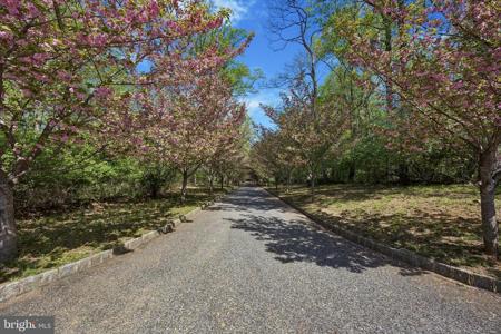 3882 GRADYVILLE ROAD