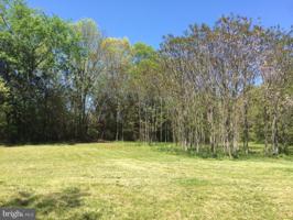 BEAR COURT