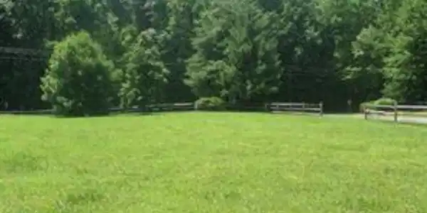 TARA WOODS DRIVE