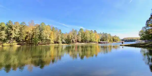 LAKE FOREST DR