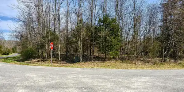 43 PALOMINO DR