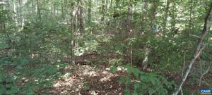 783 Lot POPLAR DR