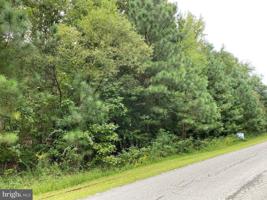 HEMLOCK LOOP