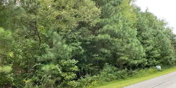 HEMLOCK LOOP