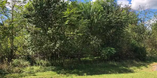 Lot 411 BEAUREGARD WAY