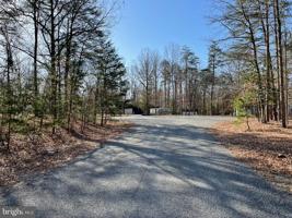 PINE CONE CT