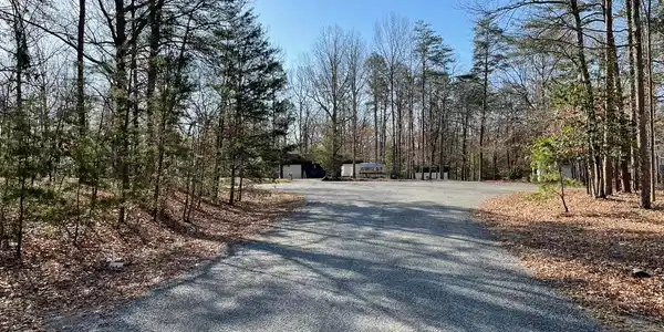 PINE CONE CT