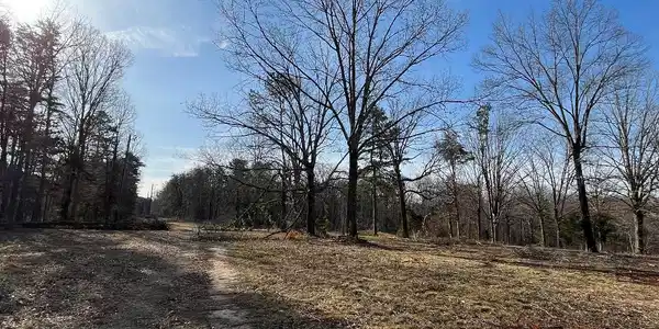 Lot 5 KENTUCKY SPRINGS RD