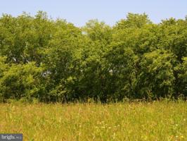 SECLUSION SHORES LOT29