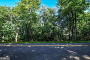 TURKEY NECK ROAD