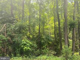 LOT145/SECTION14 TOMPKINS DRIVE