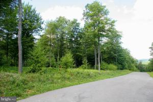 TARN DRIVE