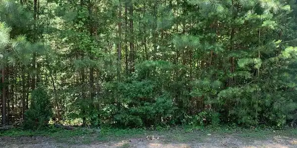 LOT 360 WINCHESTER TRAIL