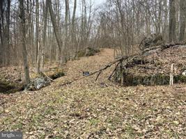 LOT 15 LAKE FOREST DRIVE