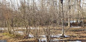 116 APPLEVIEW
