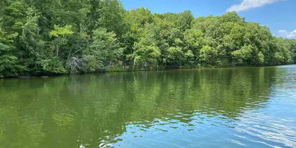 KENTUCKY SPRINGS RD
