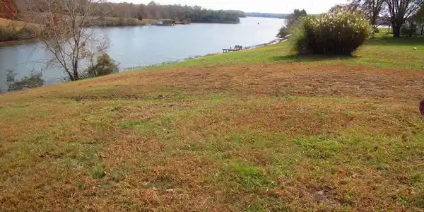 LAKE FRONT WAY